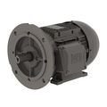 Weg WEG - .5536EP3EAL71FF-W22, MOTOR 0.75HP 2P 71 WAF1 .5536EP3EAL71FF-W22